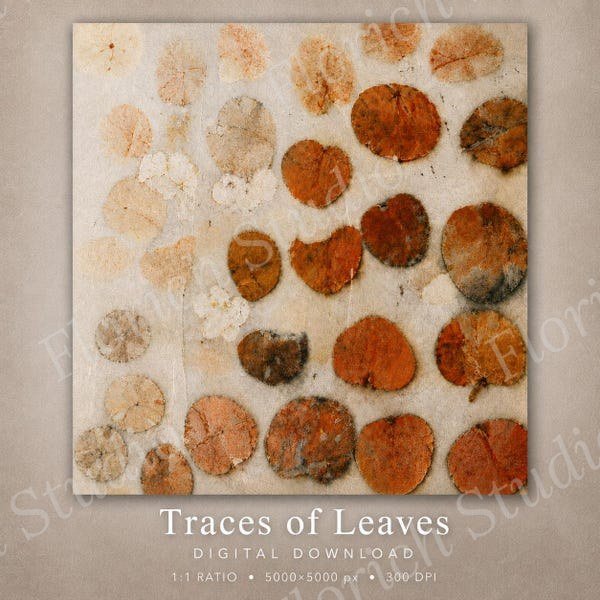 Traces of Leaves