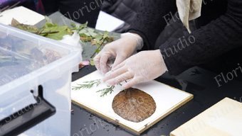 天然染料双年展期间在中国丝绸博物馆开设工作坊，接待各国艺术家和观众
